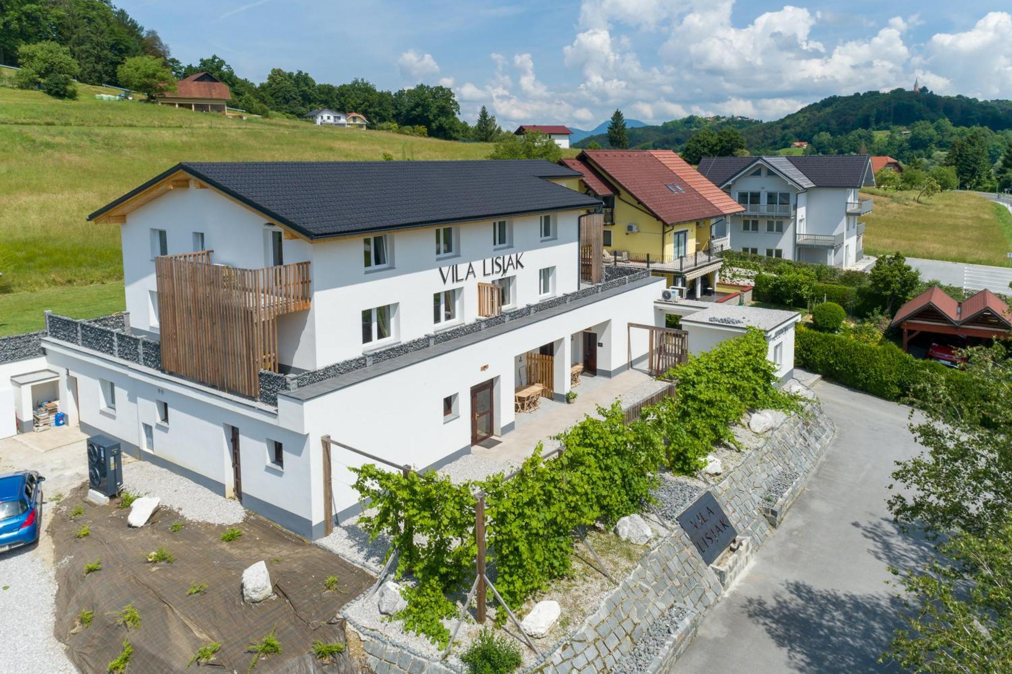 Vila Lisjak - Apartments Podcetrtek Bagian luar foto