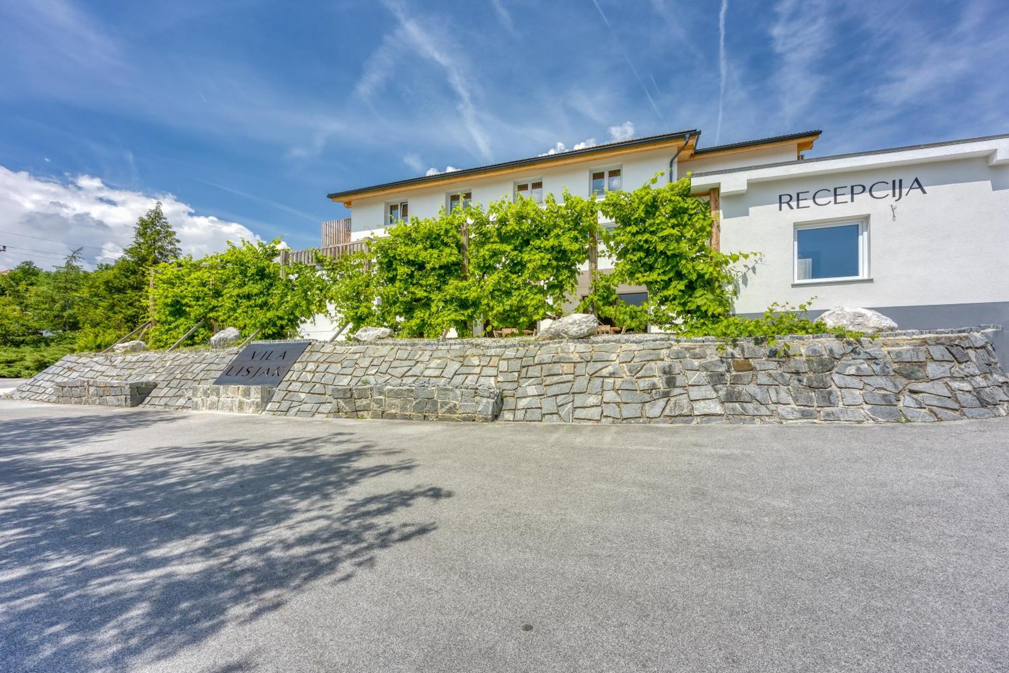 Vila Lisjak - Apartments Podcetrtek Bagian luar foto